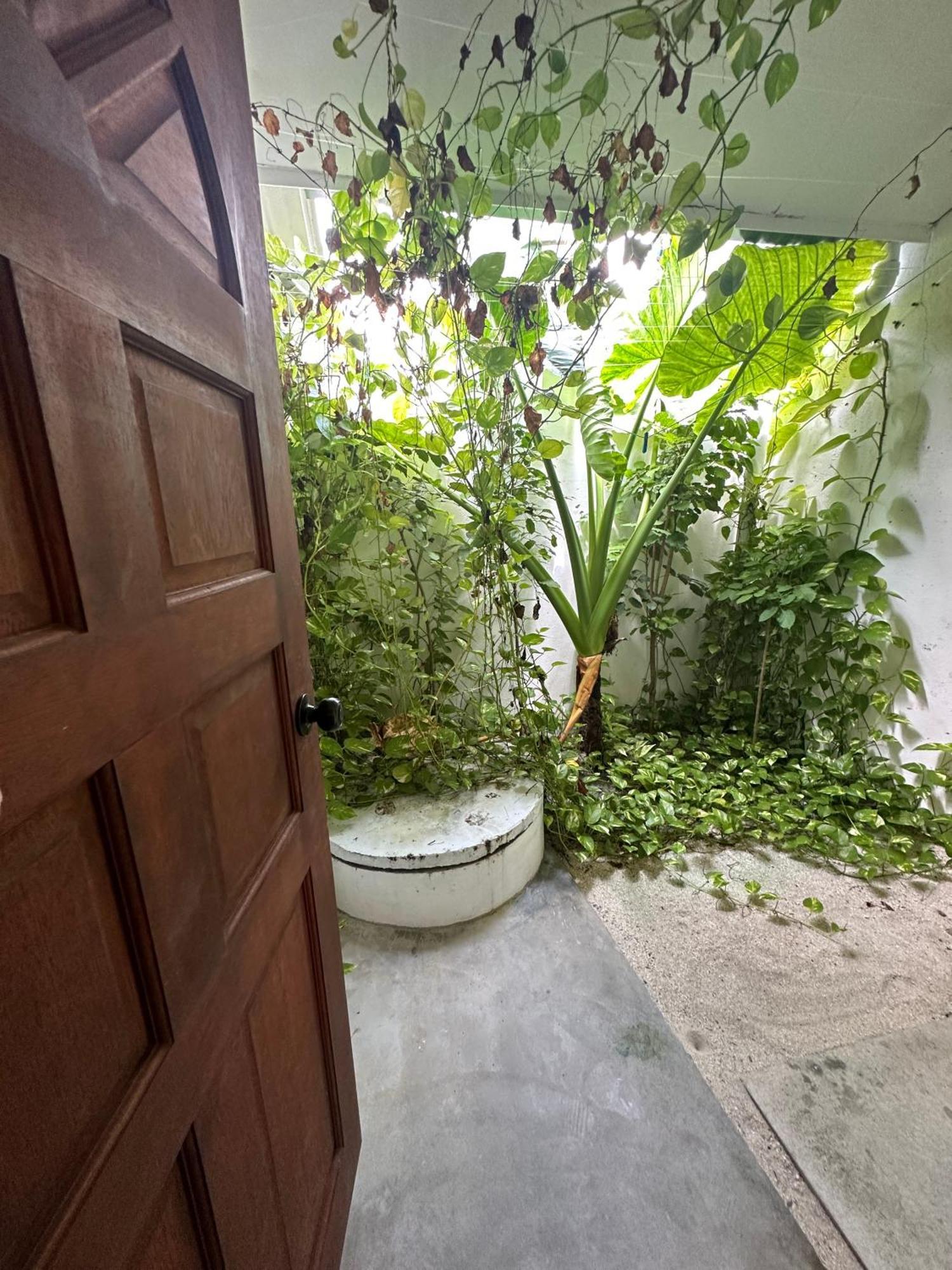 Hotel Aqua Oasis Thoddoo-Atoll Exterior foto